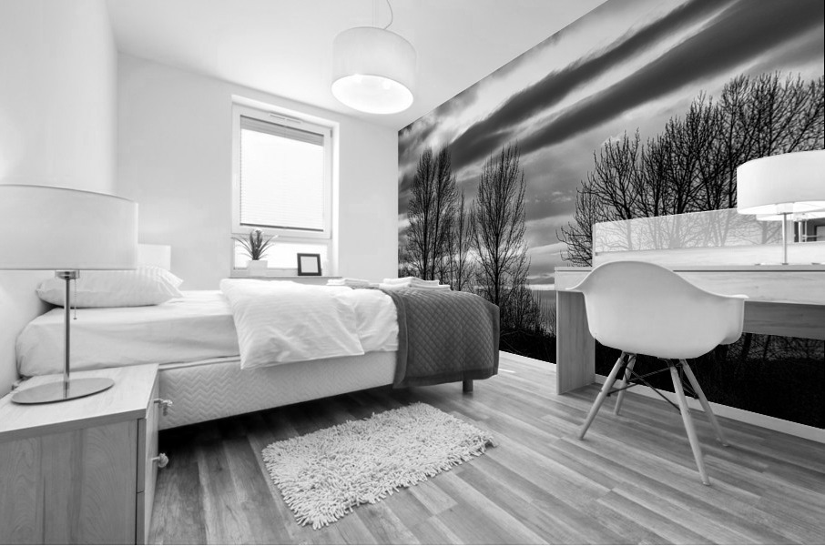 FS230103 BW Mural print