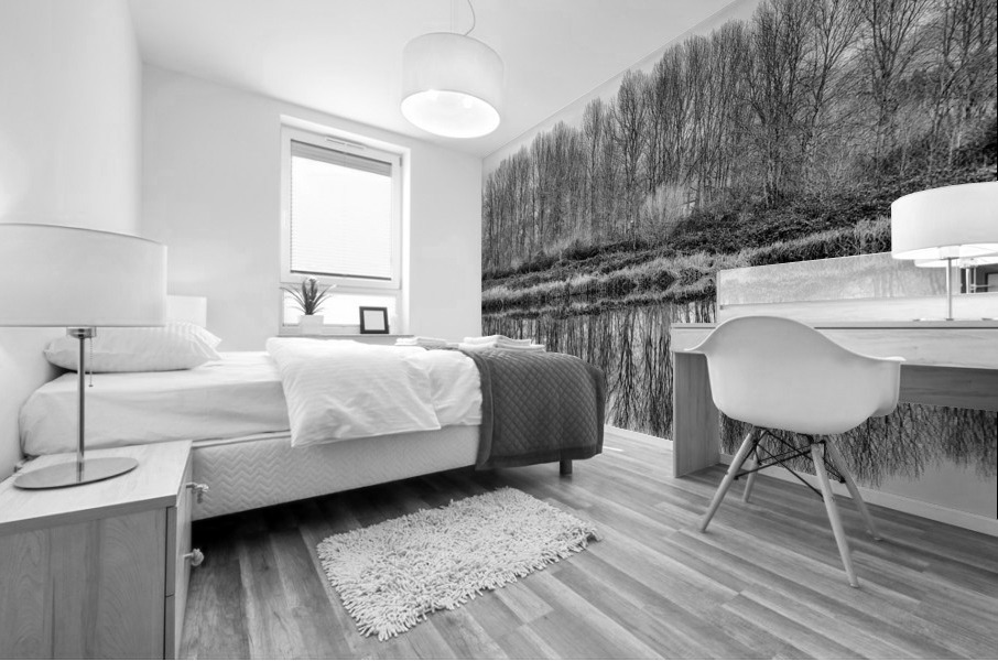 FS230104BW Mural print