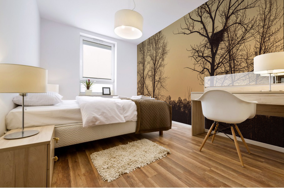 FS230129 Eagles Nest 2 Mural print