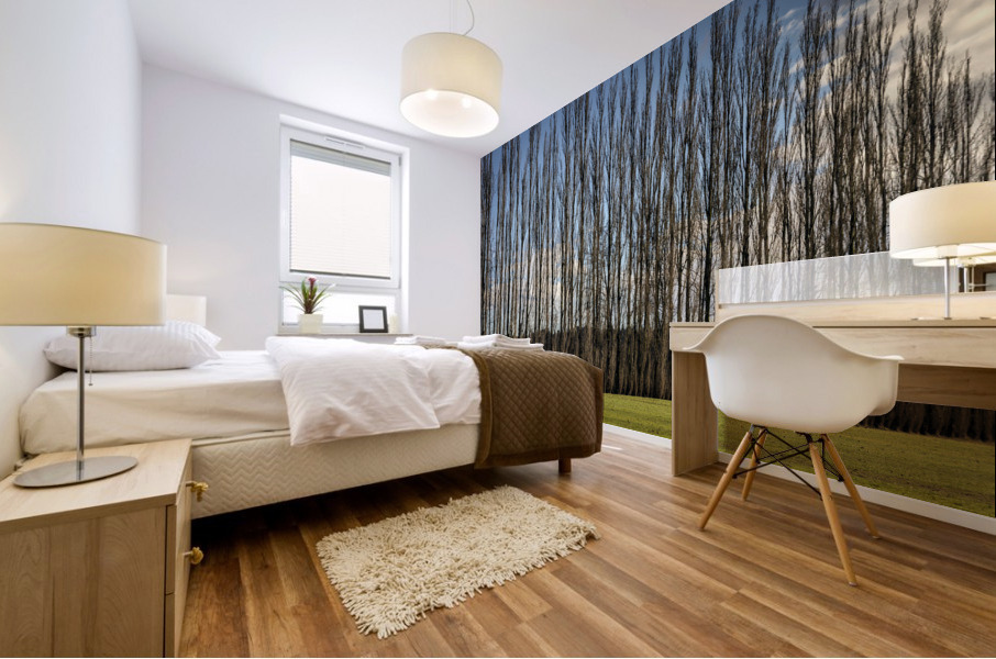 FS230128 02 Mural print