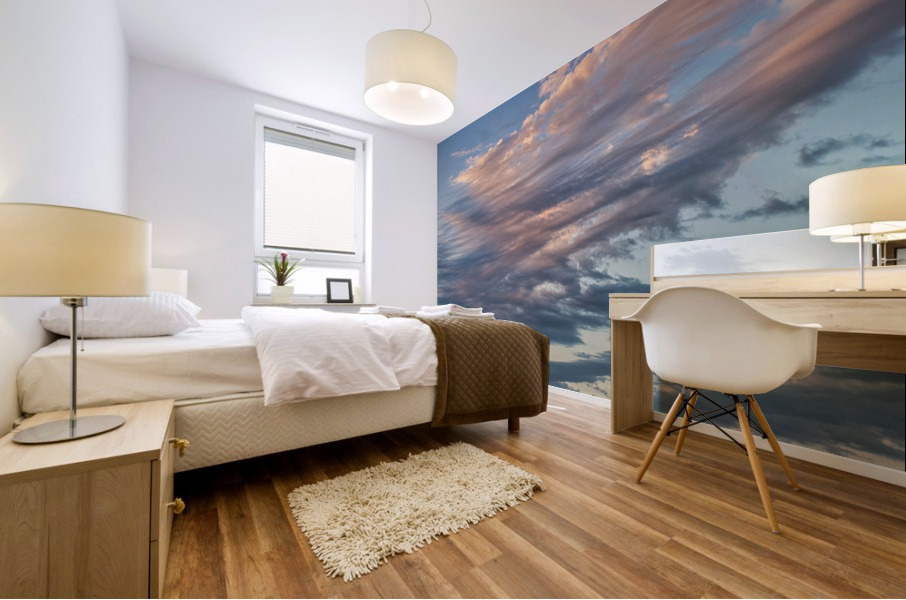 FS220812 03 Mural print