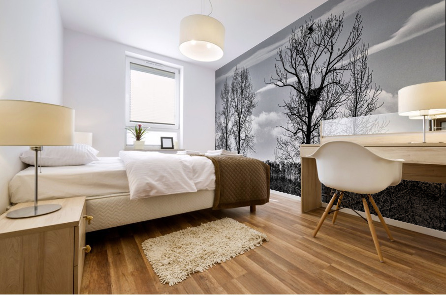 FS230208BW Mural print