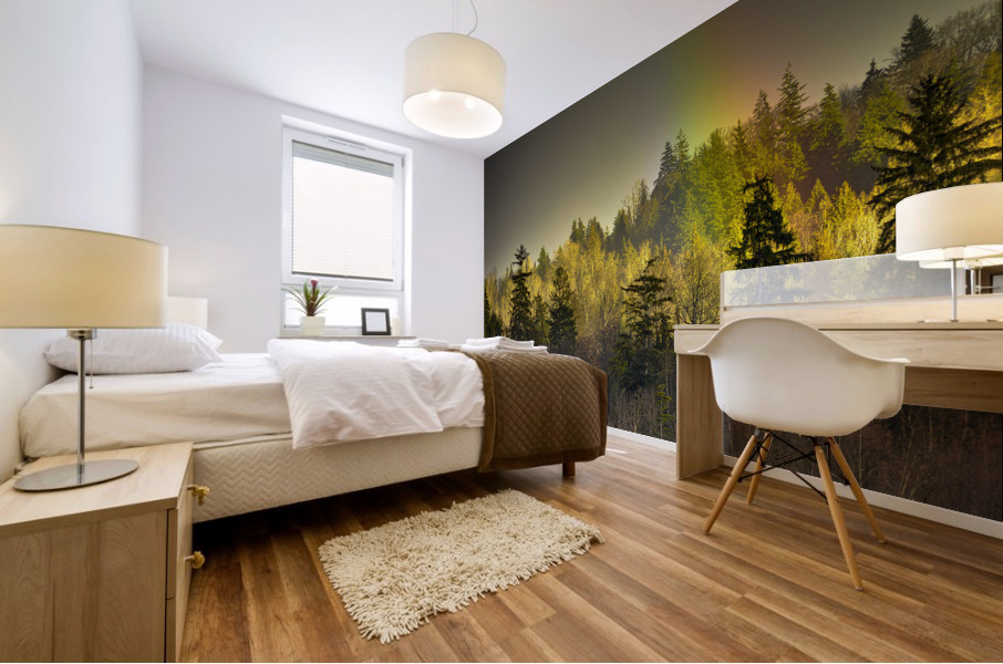 FS230221S Mural print
