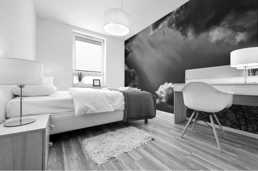 FS230401BS  LOW KEY CLOUDSCAPE Mural print