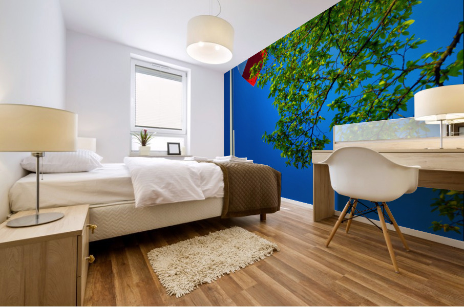 FOUR COLORS Mural print