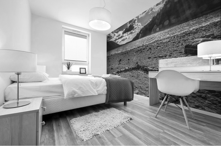 FS170912BW2 Mural print
