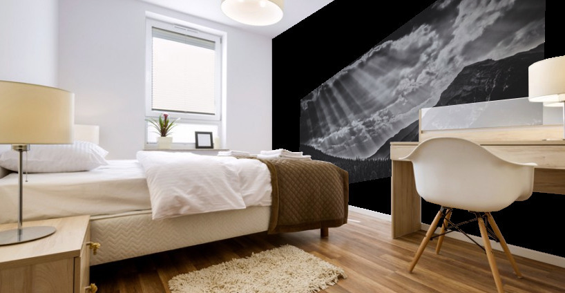 FS170901DW4 Mural print