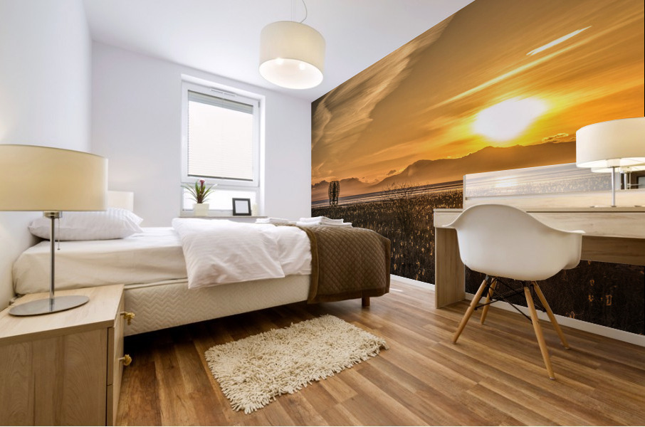 FS170319DW Mural print