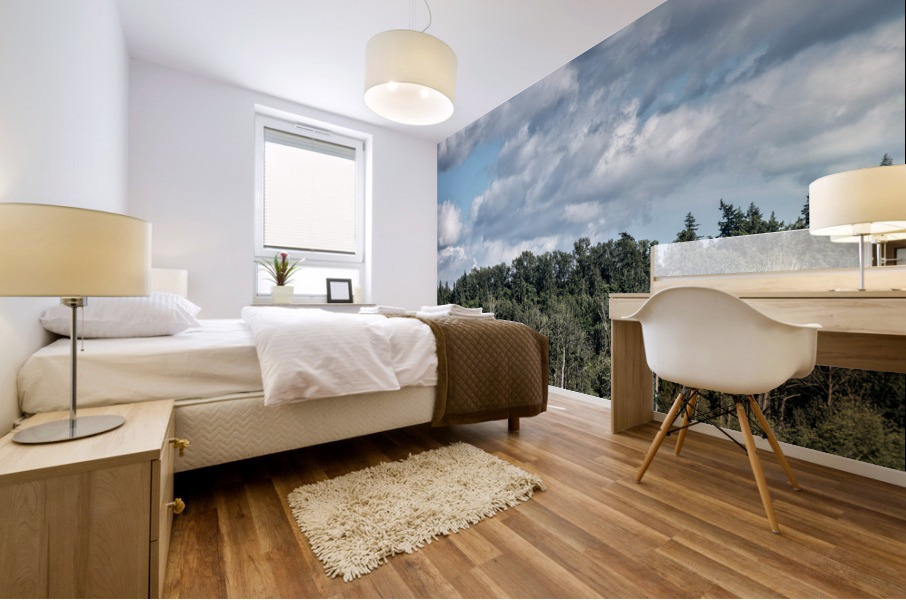 FS230726S Mural print
