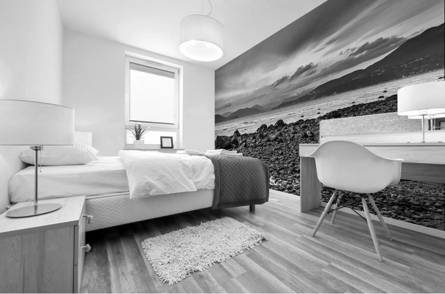 Wreck Beach Mural print