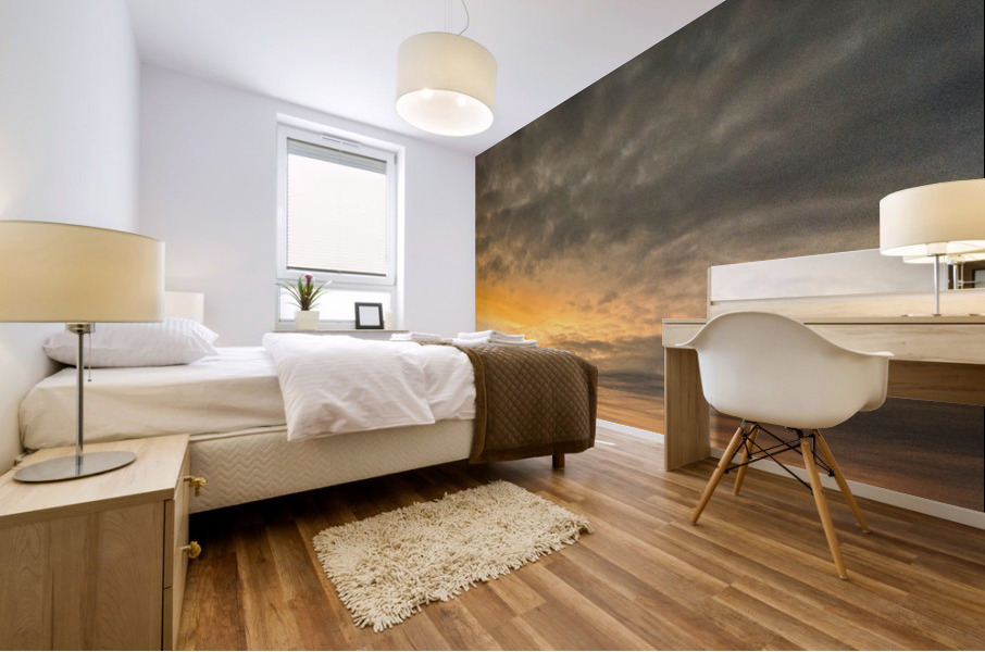 Skyline Mural print