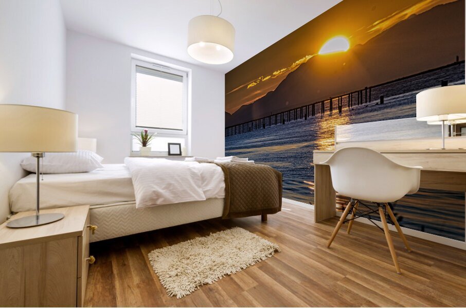 FS230920 3 Mural print