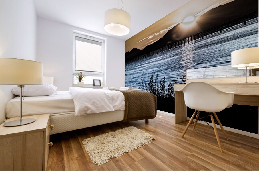 FS230920 5 Mural print