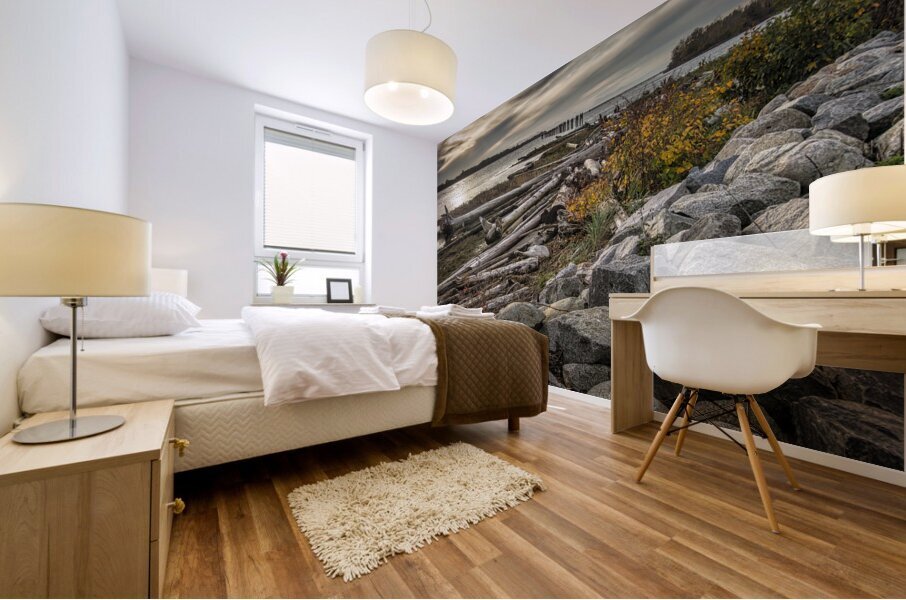 FS2301020  GILBERT BEACH Mural print