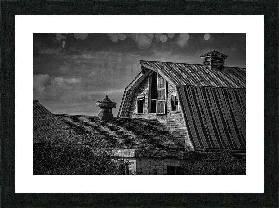 FS240223 BW2 Picture Frame print
