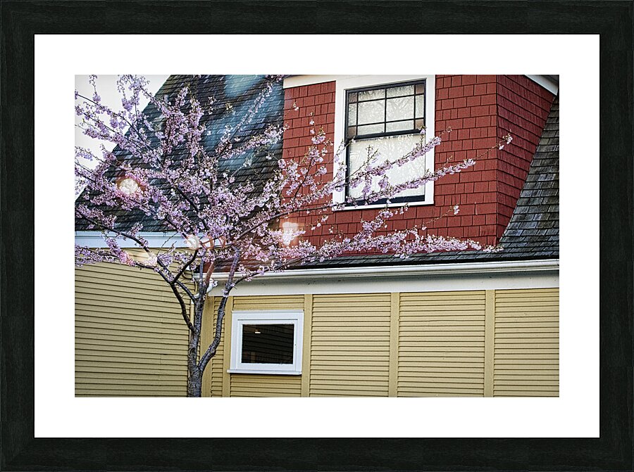 FS240319 Picture Frame print