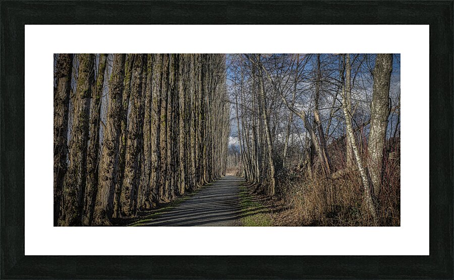 FS240207DW Picture Frame print