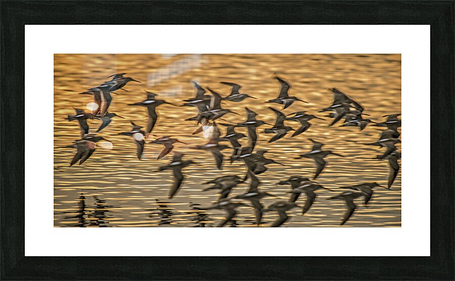 FS200221AA Picture Frame print