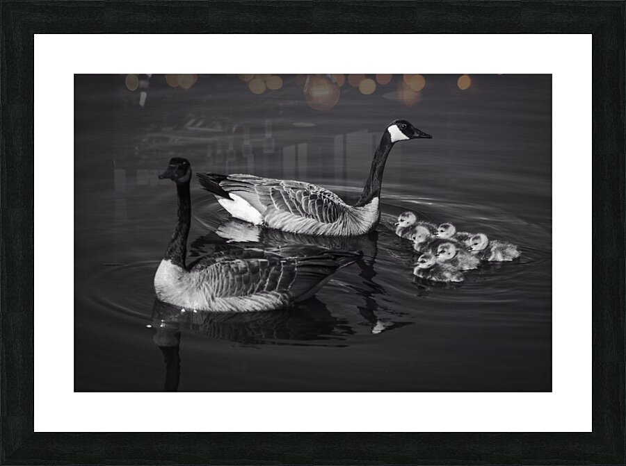 FS240422 BW Picture Frame print