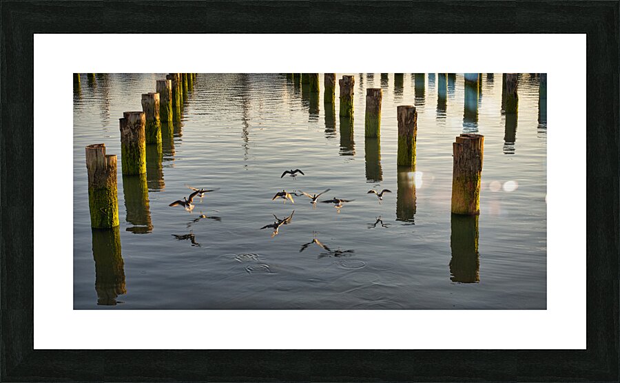 FS220930 041 Picture Frame print