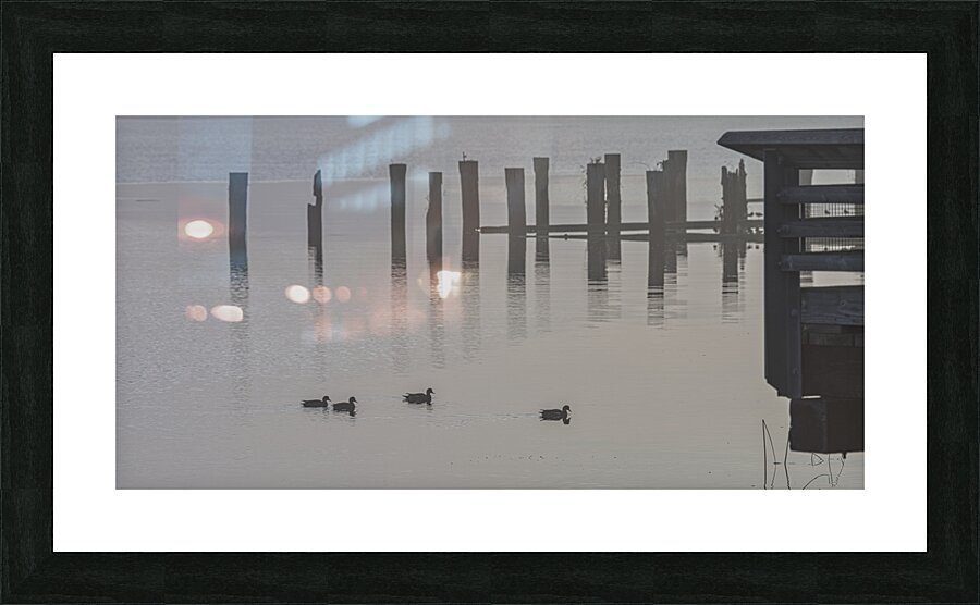 FS221019 Fog In The Morning Picture Frame print