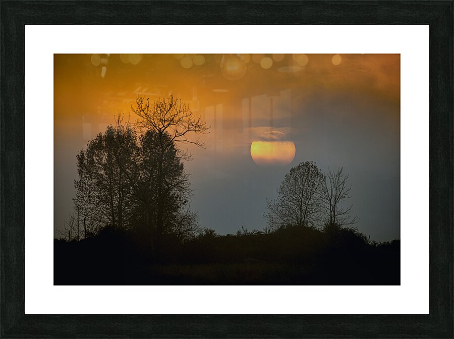 FS221019 00 Picture Frame print