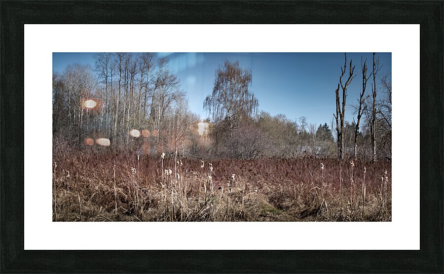 FS240319 TREES Picture Frame print