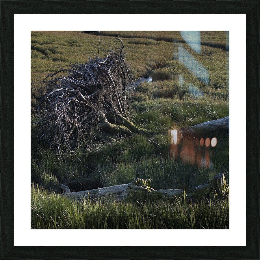 FS240430S Picture Frame print