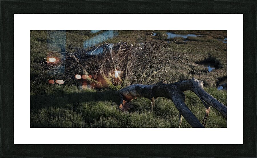 FS240430DW Picture Frame print