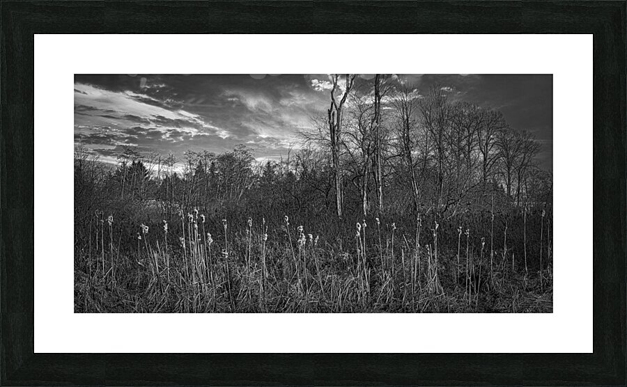 FS240318 Still Creek Picture Frame print