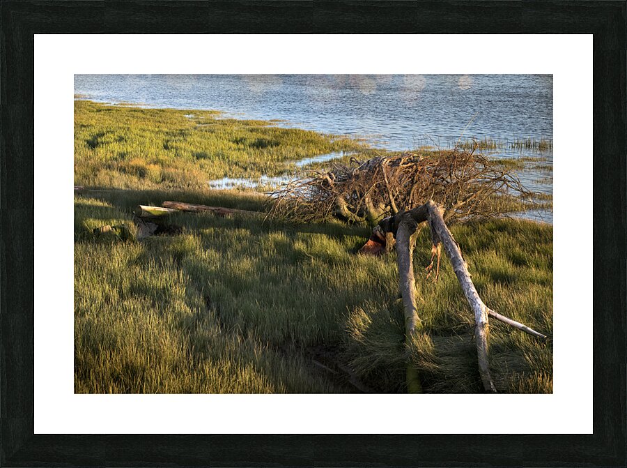 FS240506 323 Picture Frame print