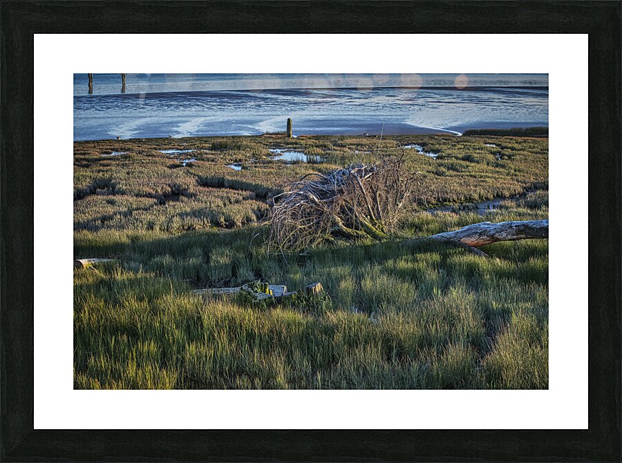 FS240501 196 Picture Frame print
