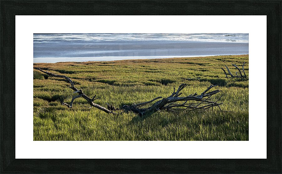 FS240430 12 Picture Frame print