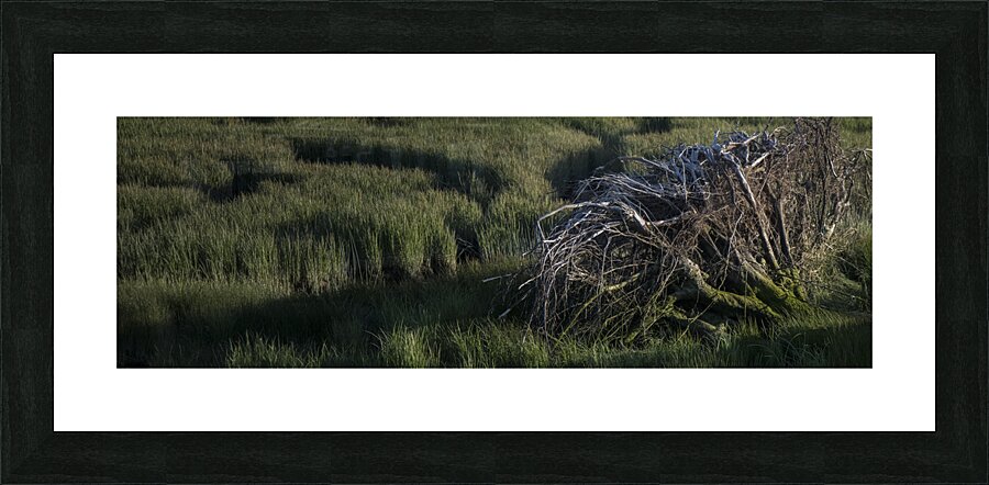 FS240518 Roots Picture Frame print