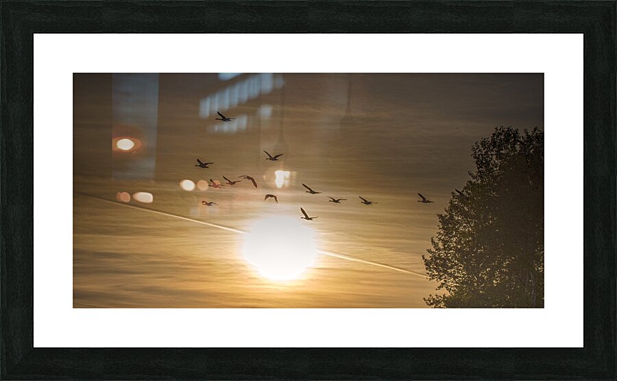 FS240514 Golden Hour Picture Frame print