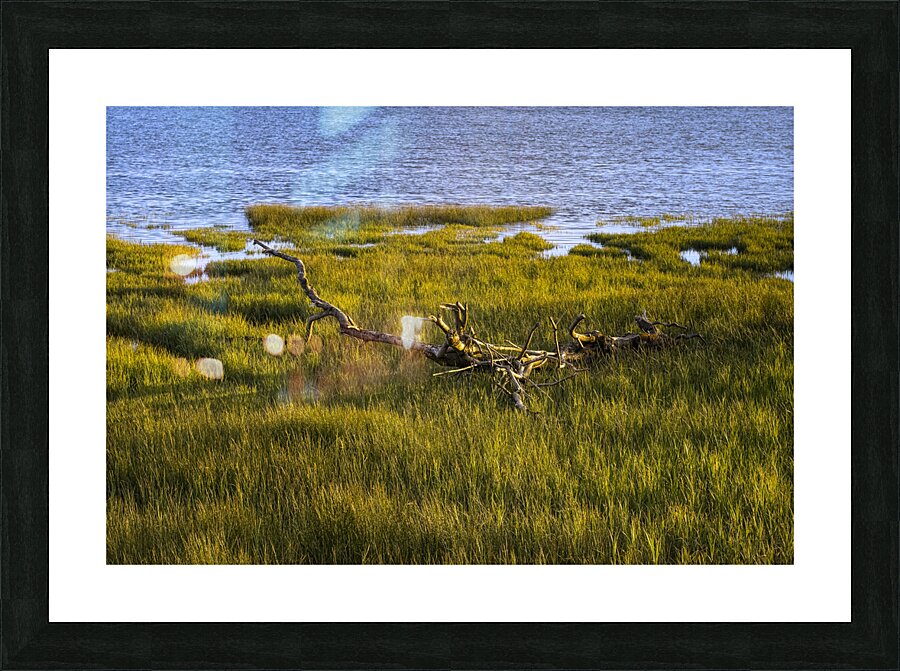 FS240506 286 Picture Frame print