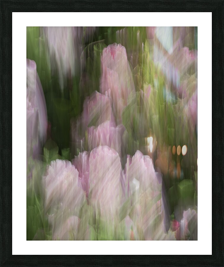 FS240615 00 Picture Frame print