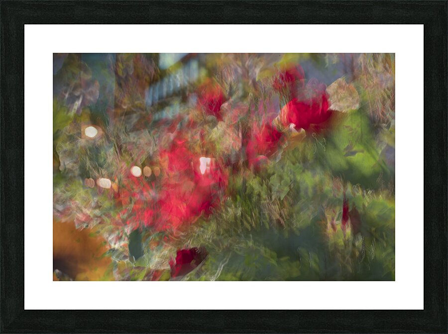 20240615 212 Picture Frame print