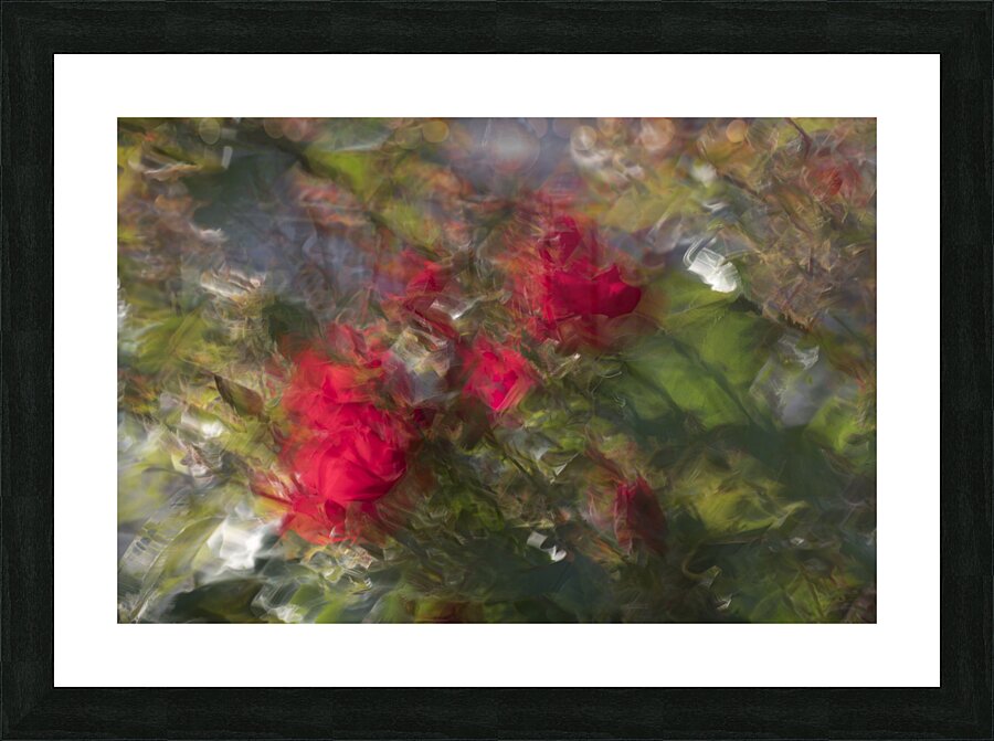 20240615 207 Picture Frame print