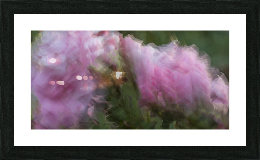 20240615 261 Edit Picture Frame print