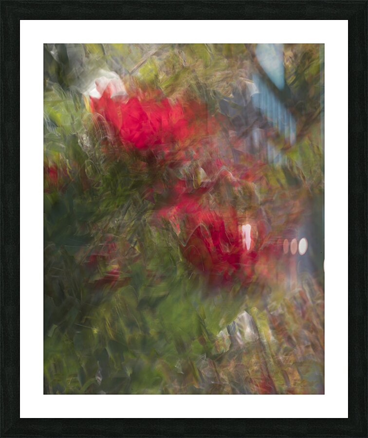 20240615 206 Picture Frame print