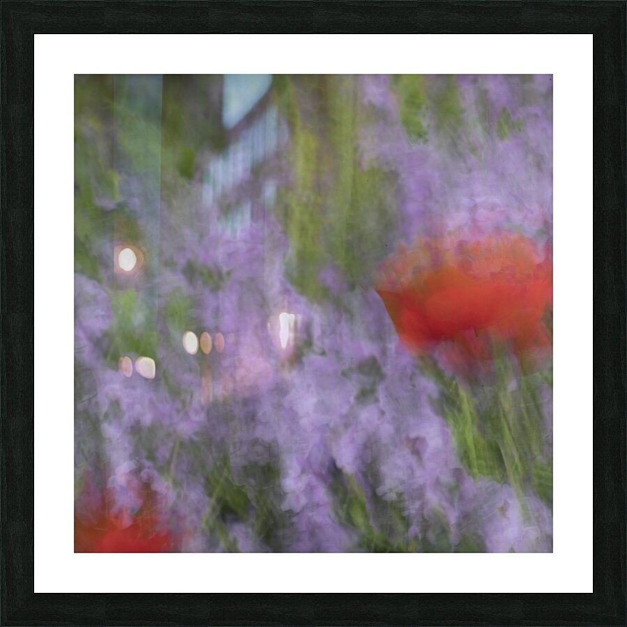 20240615 272 Picture Frame print