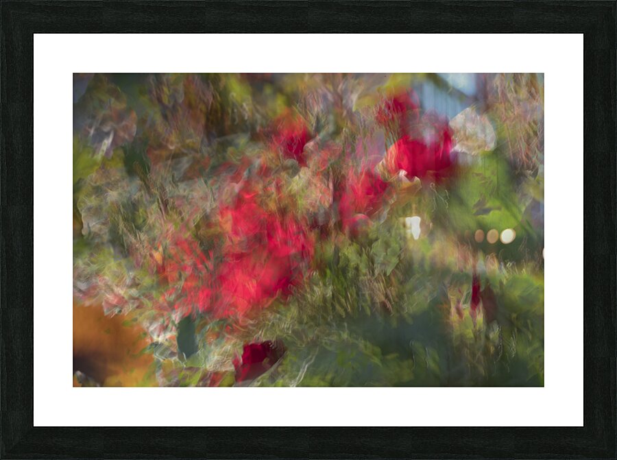 20240615 212 Picture Frame print
