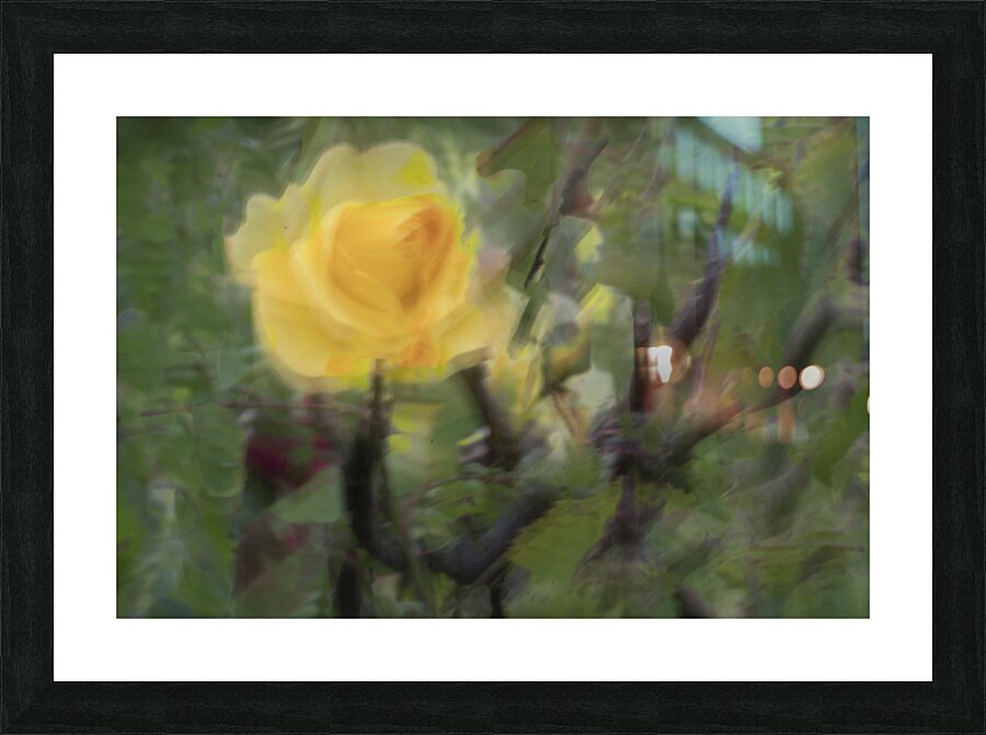 20240615 254 Picture Frame print