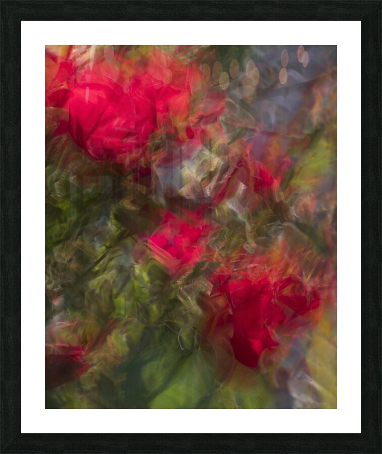 FS240615 Abstract Roses Picture Frame print