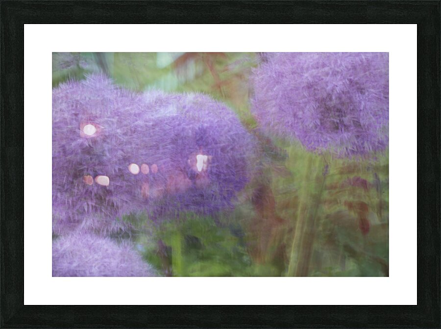 20240615 258 Picture Frame print
