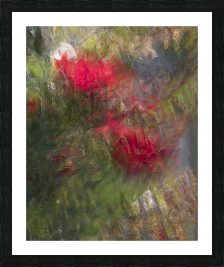 20240615 206 Picture Frame print