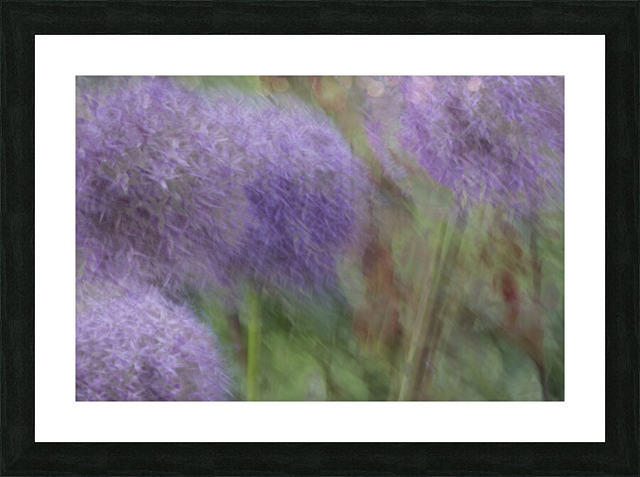 20240615 260 Picture Frame print