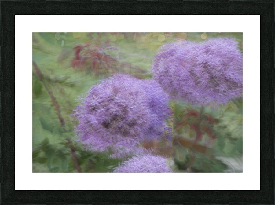 20240615 256 Picture Frame print