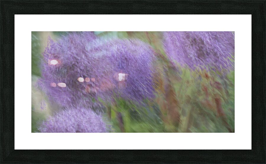 20240615 259 Picture Frame print